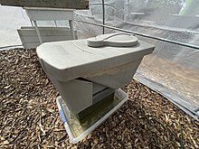 Black soldier fly larvae (BSF) as raised in this container. As they mature the grubs climb up and fall into the harvest bucket. BSF are a protein and fat rich food source for chickens, fish and wild birds. BSF can be fed coffee grounds, food scraps / waste, and even manure. BSF are a sustainable insect feedstock.