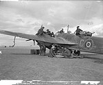Fitters, armourers and mechanics of No. 13 Squadron prepare Bristol Blenheim Mark VD C for a sortie at Canrobert, Algeria during the Second World War.