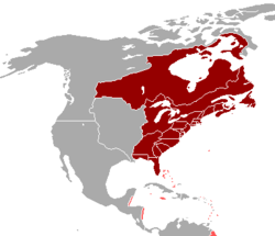 British colonies in continental North America (red) and the island colonies of the British West Indies of the Caribbean Sea (pink), after the French and Indian War (1754–1763) and before the American Revolutionary War (1775–1783)
