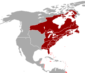 Localização de