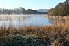 Burton Mill Pond