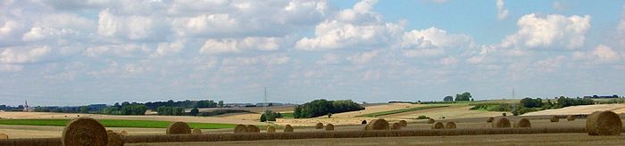 Paysage d’openfield, caractéristique du Cambrésis