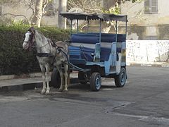 Carrosse à Saint-Louis, Sénégal