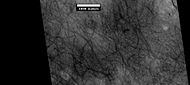 Dust devil tracks, as seen by HiRISE under HiWish program. Location is Casius quadrangle.