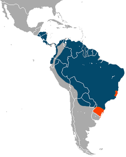 Distribución do oso formigueiro xigante. Azul: presente; Laranxa: probabelmente extinto.