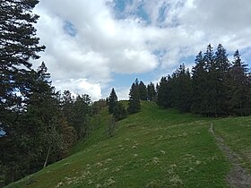 Le Haut de Felsach depuis le nord.