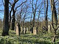 Jüdischer Friedhof