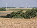 Paysage avec éoliennes.