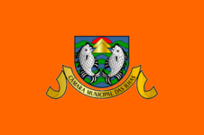 1974年-1999年，海島市政廳旗幟，下方葡語意為“海島市政府”：Câmara Municipal das Ilhas
