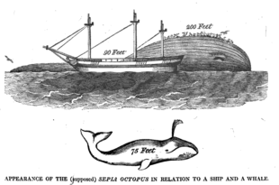 200-foot octopus allegedly seen in 1813