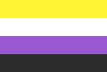 A picture of the non-binary pride flag. It is yellow, white, purple, and black.