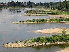 Épis de rivière en pierre sur l'Oder