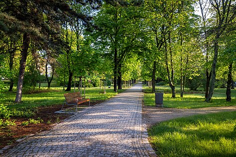 View of a walkway