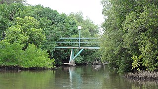 Pont au-dessus du Creek Salé