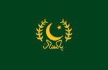 巴基斯坦统帅旗帜 (1974-1998)
