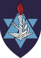 The PUM badge, which the cadets wore in the past, before the current badge