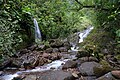 Le Galion en amont dans le parc national de la Guadeloupe.