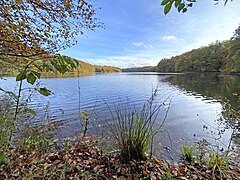 Blick vom Südufer der Neyetalsperre