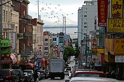 Chinatown businesses line Jackson Street, with the Bay Bridge in the background.