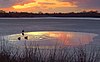 Sunset over the pond at Bedfords Park