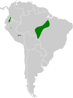 Distribución geográfica del pijuí gorgicastaño.