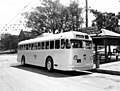 Australien: Trolleybus in Brisbane, 1951