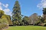 These gardens were established by Ralph Henry Arderne in 1845 and with the help of his son, Henry Mathew, he developed them into one of the most imported gardens of the Victorian era. These gardens are of great botanical, scientific and environmental importance. Type of site: Botanical Garden.