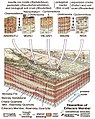 "Reconstruction of Ediacaran biota and their soils in the Ediacara Member of the Rawnsley Quartzite in the Flinders Ranges, South Australia"