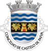 Coat of arms of Castelo de Paiva