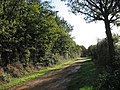 Chemin des charbonniers à la lisière de la forêt.