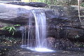 Cascade, Bronte Gully.