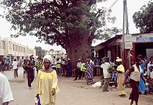 Many people on a street with a baobab tree.