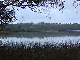 Lake Joondalup seen from the eastern shore