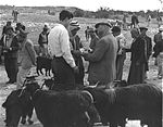 صورة تاريخية لبدو في السوق في بئر السبع عام 1954