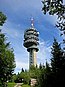 Mont-Gibloux Sendeturm