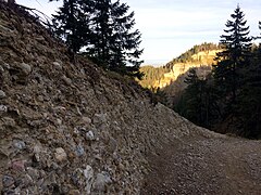 Nagelfluh-Gestein am Napf