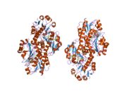 2gcg: Ternary Crystal Structure of Human Glyoxylate Reductase/Hydroxypyruvate Reductase