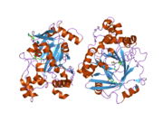 2oq6: Crystal structure of JMJD2A complexed with histone H3 peptide trimethylated at Lys9