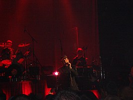 The Beautiful South performing in 2006