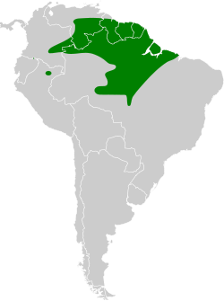 Distribución geográfica del picoplano cresticanela.