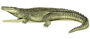 Реконстркція Purussaurus brasiliensis