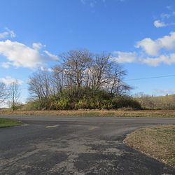 T.C. Campbell Mound