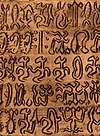 A closeup of a rongorongo tablet