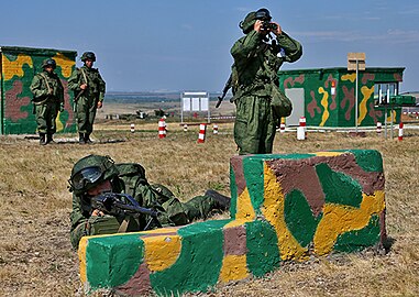 Занятия по тактической подготовке на Рощинском военном полигоне, 2014 год