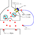 於 2015年9月3日 (四) 20:18 版本的縮圖