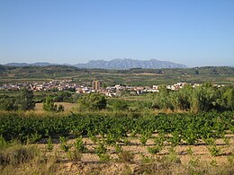 Sant Pere de Riudebitlles – Veduta