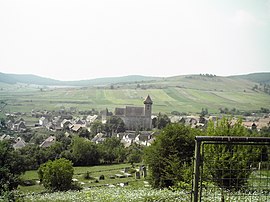 Panoramic view of the commune with the Transylvanian Saxon Evangelical Lutheran fortified church in the background