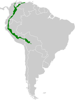 Distribución geográfica del colibrí picocuño oriental.