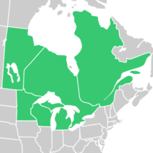 Symphyotrichum robynsianum native distribution map: Canada — Manitoba, Ontario, and Québec; US — Michigan, Minnesota, and Wisconsin.