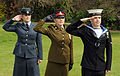 Personnels de la Royal Air Force, la British Army et la Royal Navy saluant.